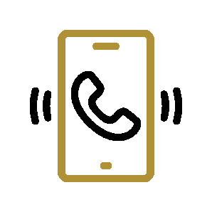 Phone Icon